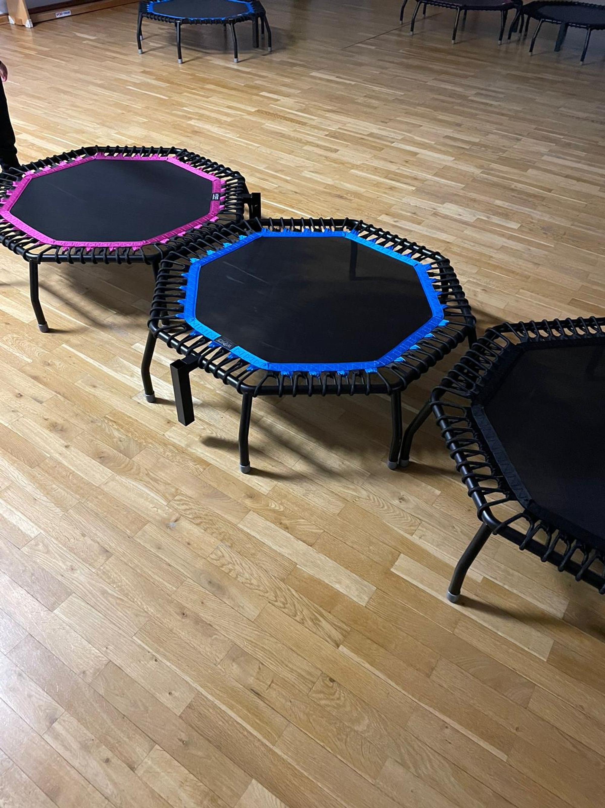 SV Gifhorn Titelphoto 0