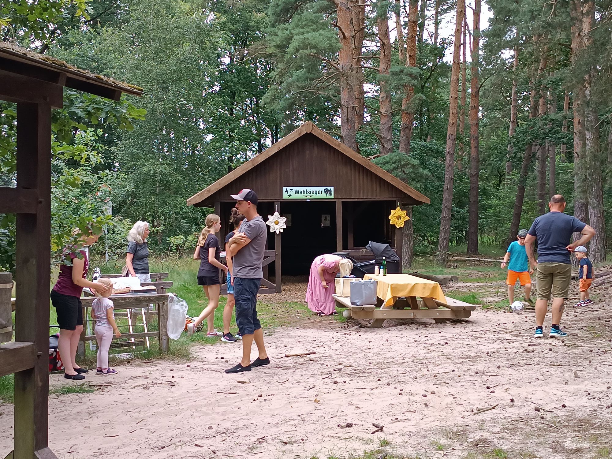 SV Gifhorn Titelphoto 0